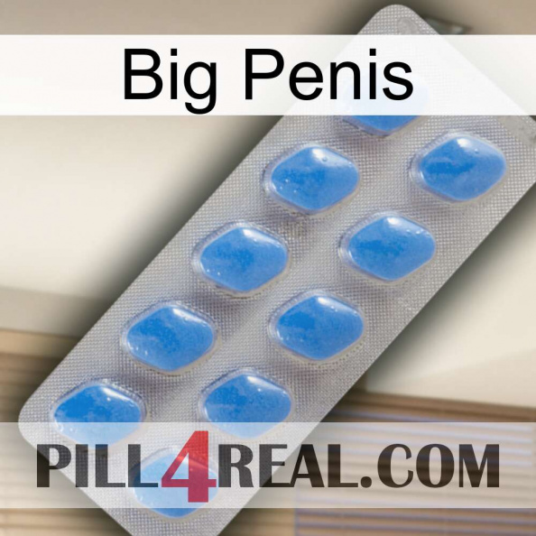 Big Penis 22.jpg